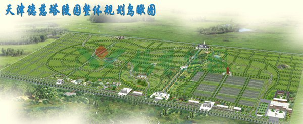 1-22020Z93059193 九五至尊VI-老品牌值得信任!