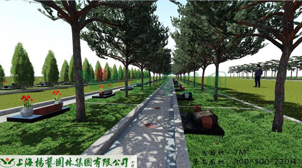 九五至尊VI-老品牌值得信任!