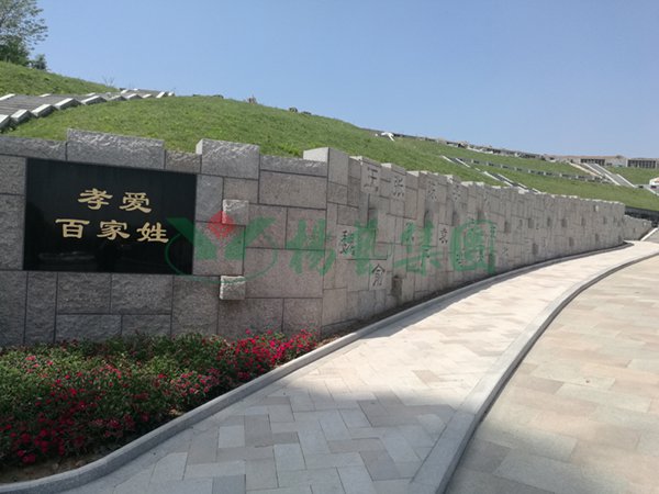 1-2202140RSIY 九五至尊VI-老品牌值得信任!