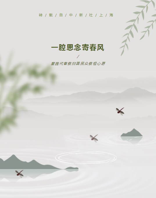 九五至尊VI-老品牌值得信任!