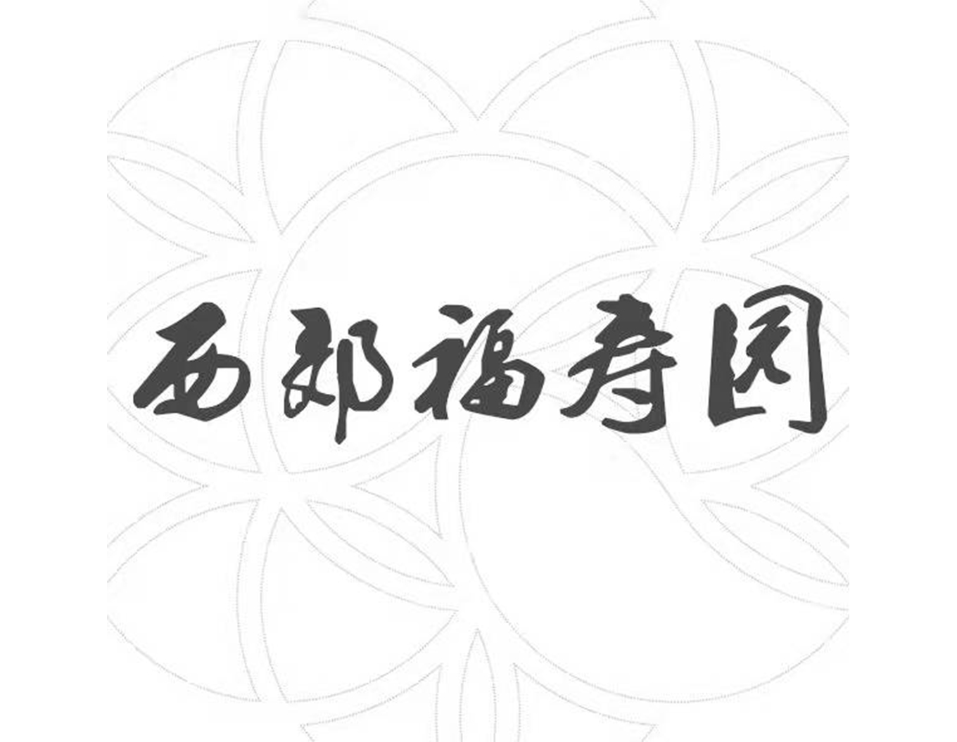1-21121Q32450M4 九五至尊VI-老品牌值得信任!