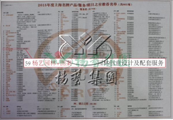 九五至尊VI-老品牌值得信任!