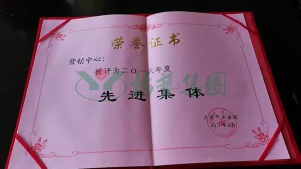 1-211224101322362 九五至尊VI-老品牌值得信任!
