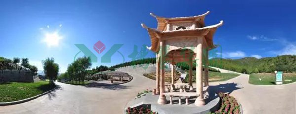 九五至尊VI-老品牌值得信任!
