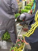 【九五至尊VI人别样清明】2018年清明落葬工作圆满实现