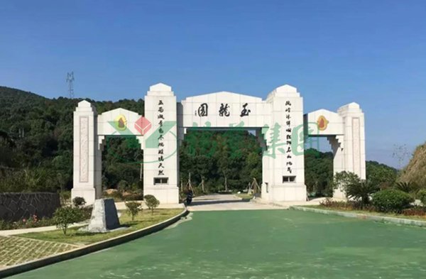 九五至尊VI-老品牌值得信任!