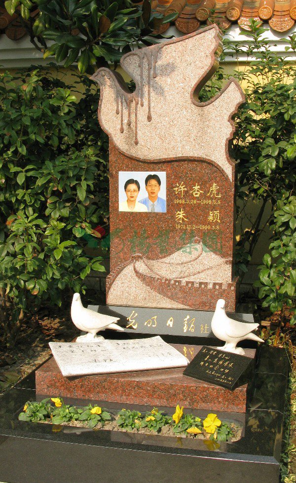 3-220112092Q2B0 九五至尊VI-老品牌值得信任!