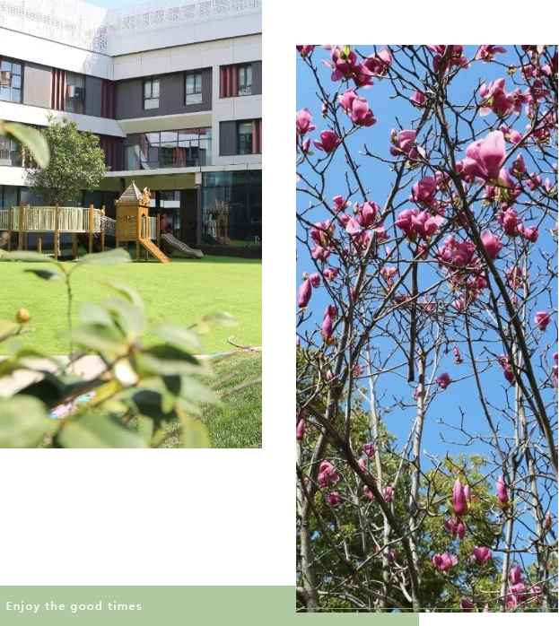 九五至尊VI-老品牌值得信任!