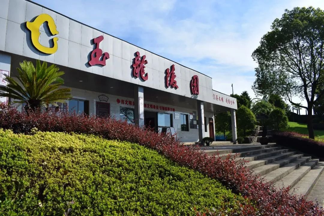 1-231016095455c7 九五至尊VI-老品牌值得信任!