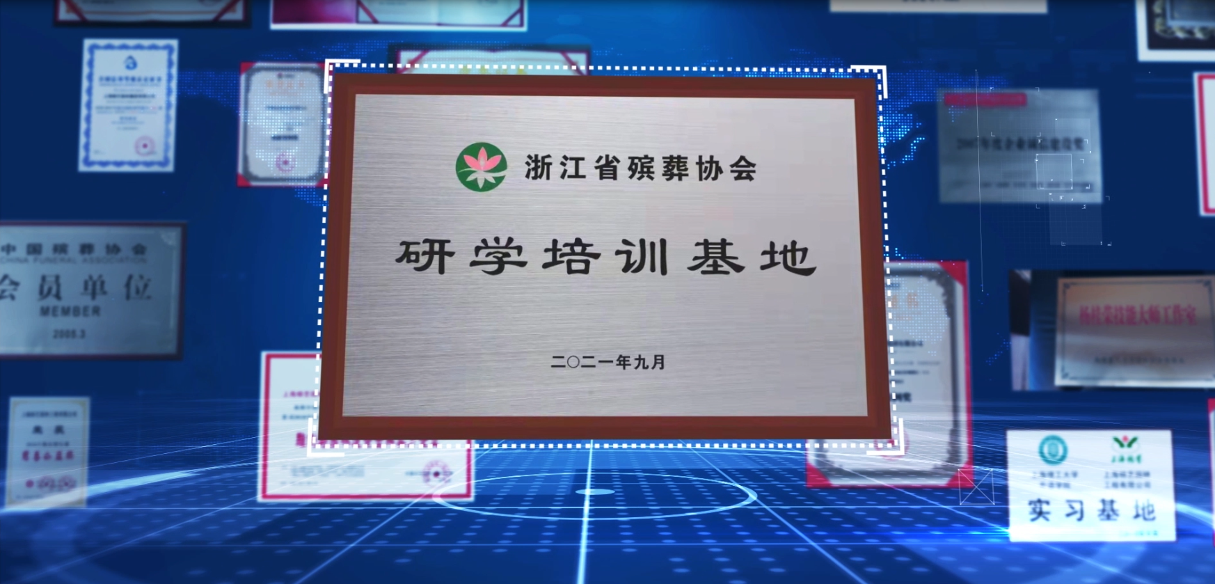 1-23102Q51539501 九五至尊VI-老品牌值得信任!