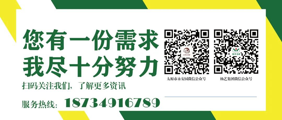 1-23112FU644c6 九五至尊VI-老品牌值得信任!