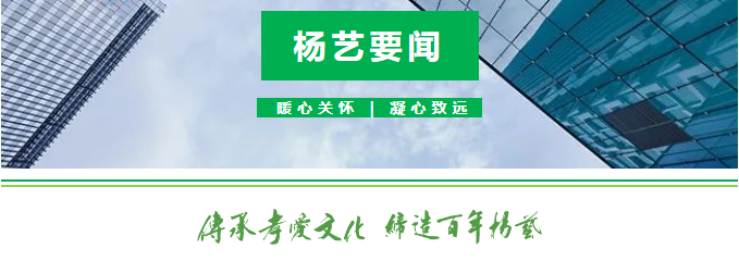 九五至尊VI-老品牌值得信任!