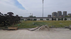 老墓园微刷新，助力城市人文关切
