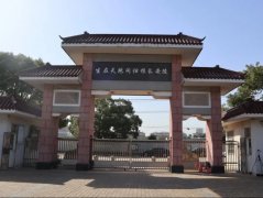 微刷新，为老墓园增添一抹新“绿”