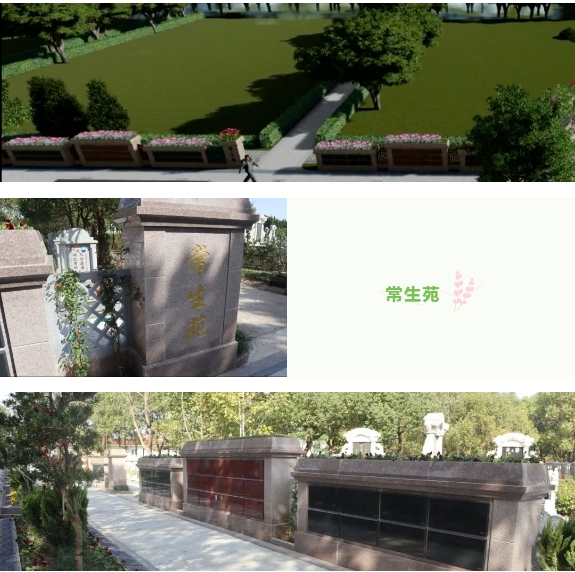 1-240130133F6438 九五至尊VI-老品牌值得信任!