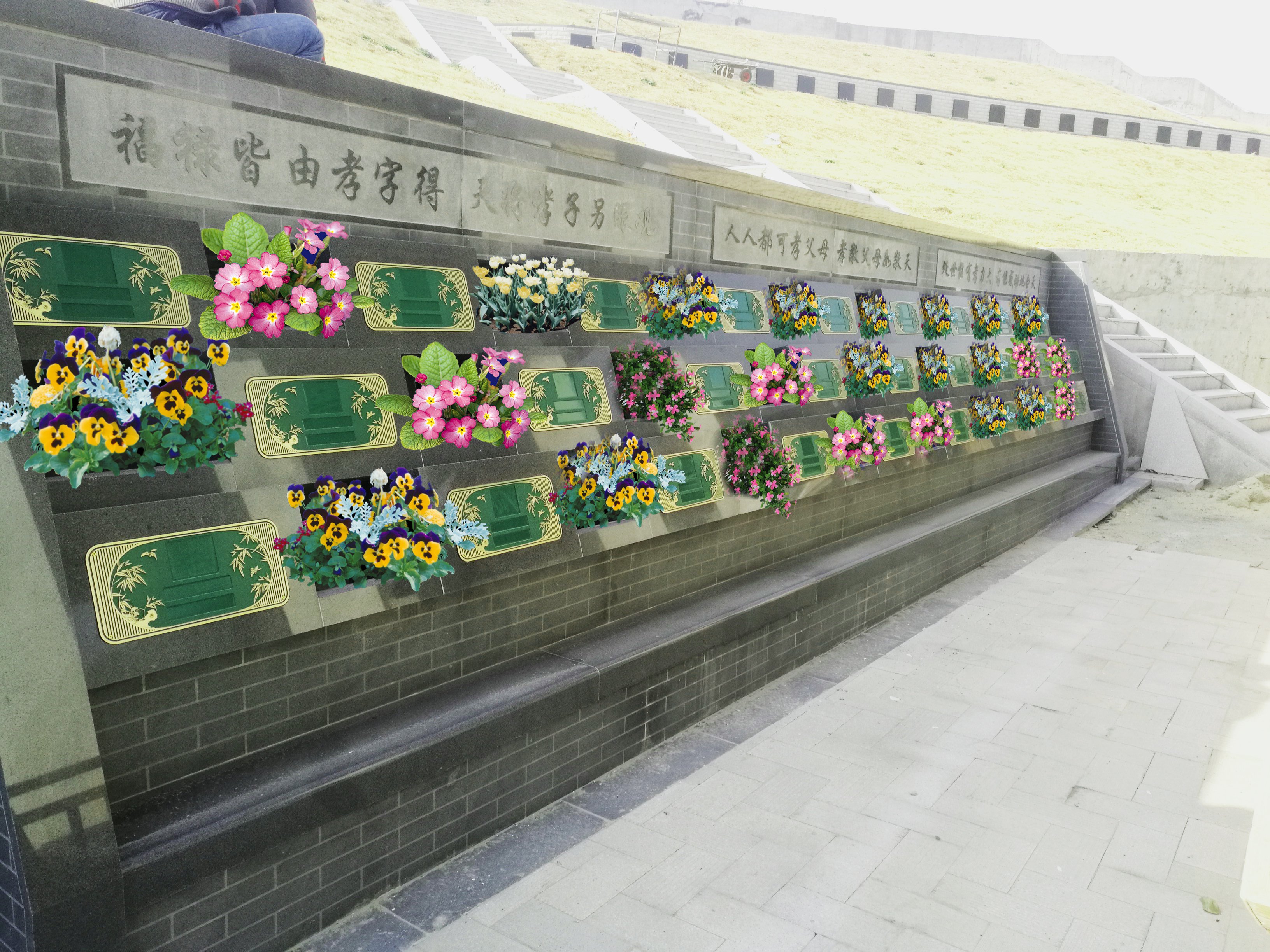 1-240314144231W7 九五至尊VI-老品牌值得信任!