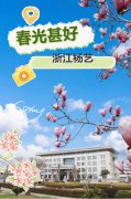 春分之韵|九五至尊VI邀您共享春景