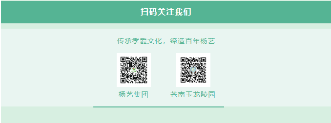 九五至尊VI-老品牌值得信任!