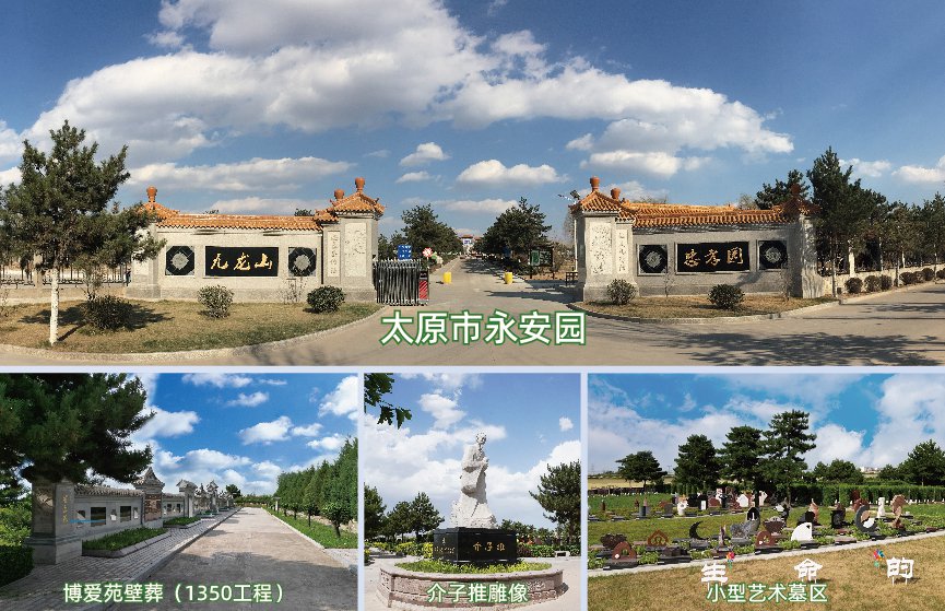 1-2406050T51I25 九五至尊VI-老品牌值得信任!