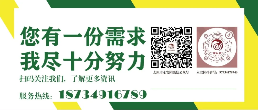 1-240615105130424 九五至尊VI-老品牌值得信任!