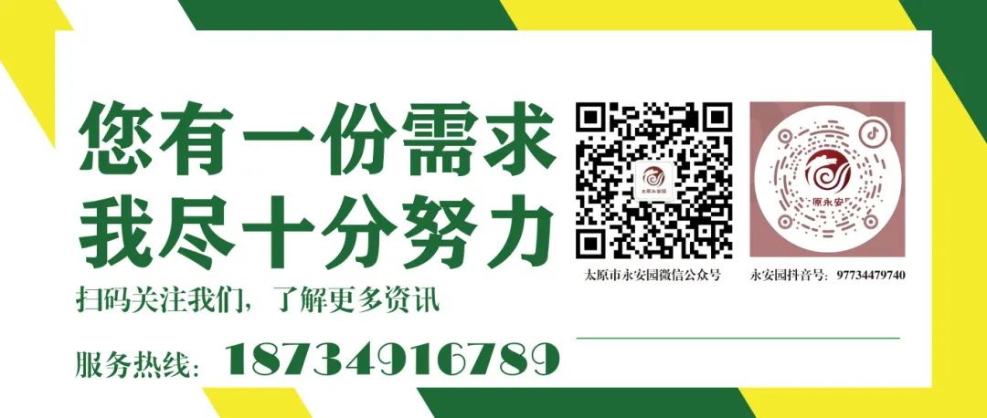 1-24062210001Dc 九五至尊VI-老品牌值得信任!