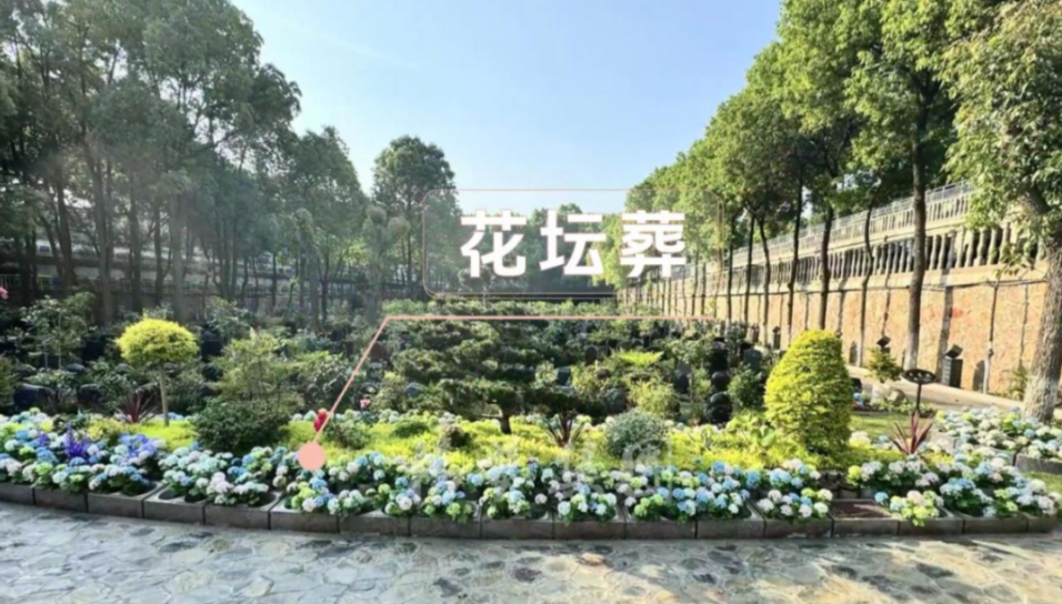 九五至尊VI-老品牌值得信任!
