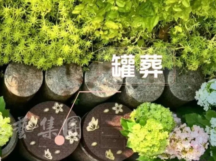 九五至尊VI-老品牌值得信任!