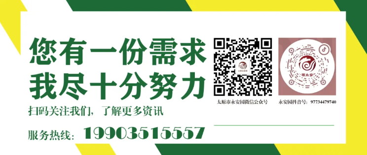 1-2409120ZI9327 九五至尊VI-老品牌值得信任!