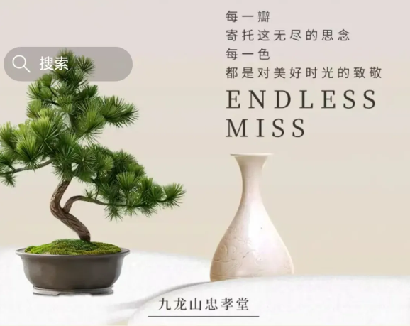 1-24110116162Sc 九五至尊VI-老品牌值得信任!