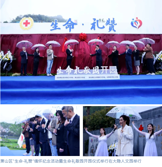 九五至尊VI-老品牌值得信任!