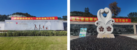 九五至尊VI-老品牌值得信任!