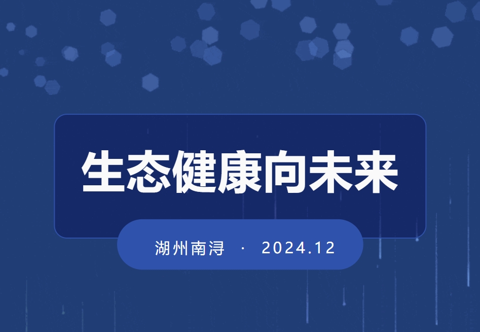 1-241210105Q6492 九五至尊VI-老品牌值得信任!