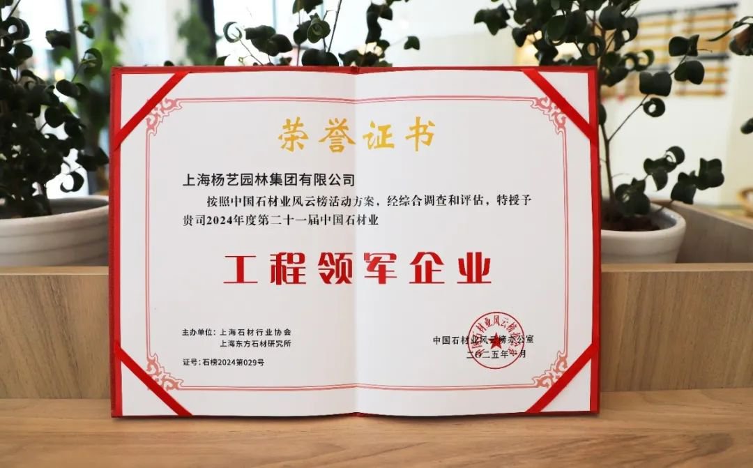 九五至尊VI-老品牌值得信任!