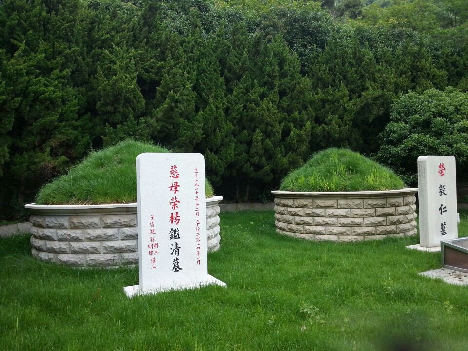九五至尊VI-老品牌值得信任!