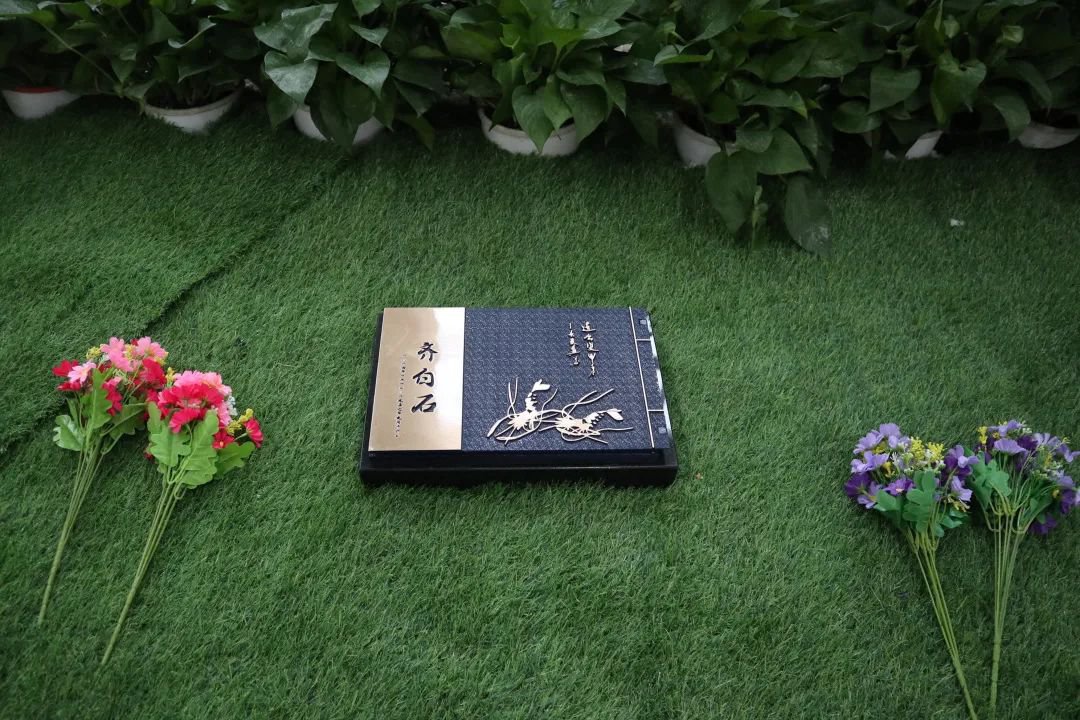 1-25022Q42101146 九五至尊VI-老品牌值得信任!