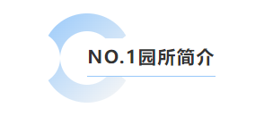 1-25052G106193a 九五至尊VI-老品牌值得信任!