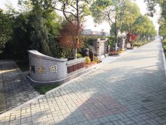 城市最后一平米：生态葬，是与天然的和解？还是无奈的选择？